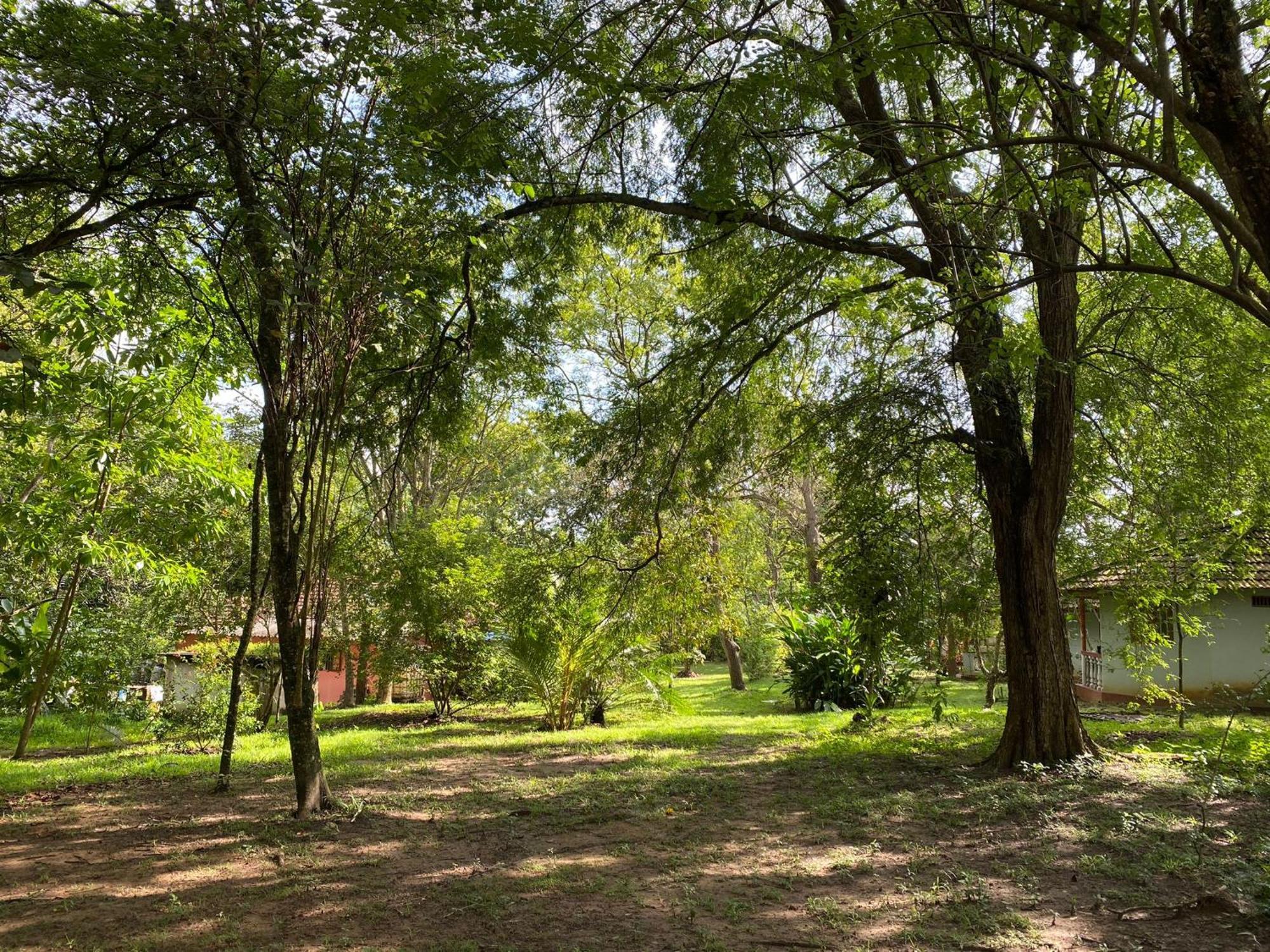 Calm Garden Cabanas تانجالي المظهر الخارجي الصورة