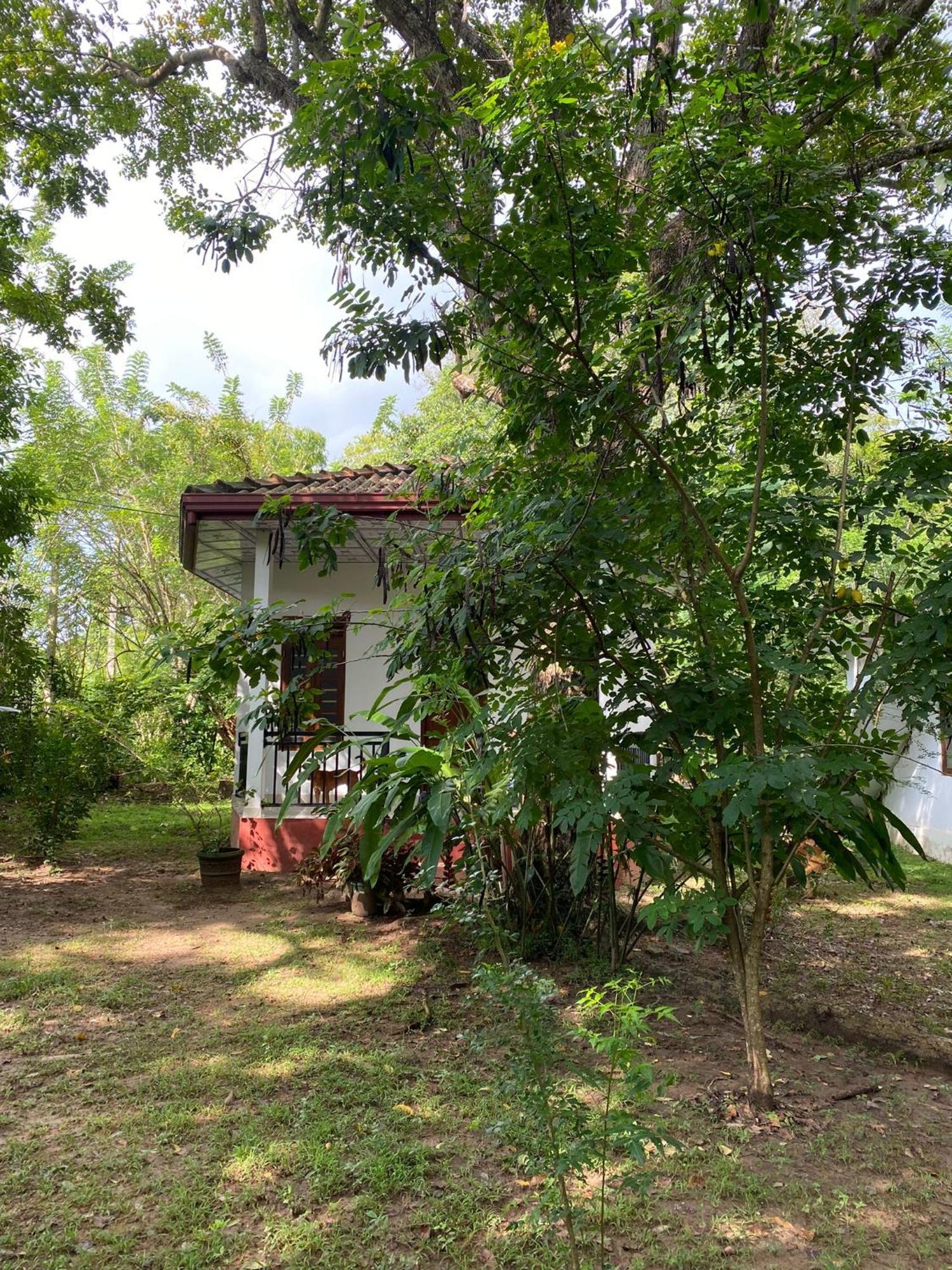 Calm Garden Cabanas تانجالي المظهر الخارجي الصورة