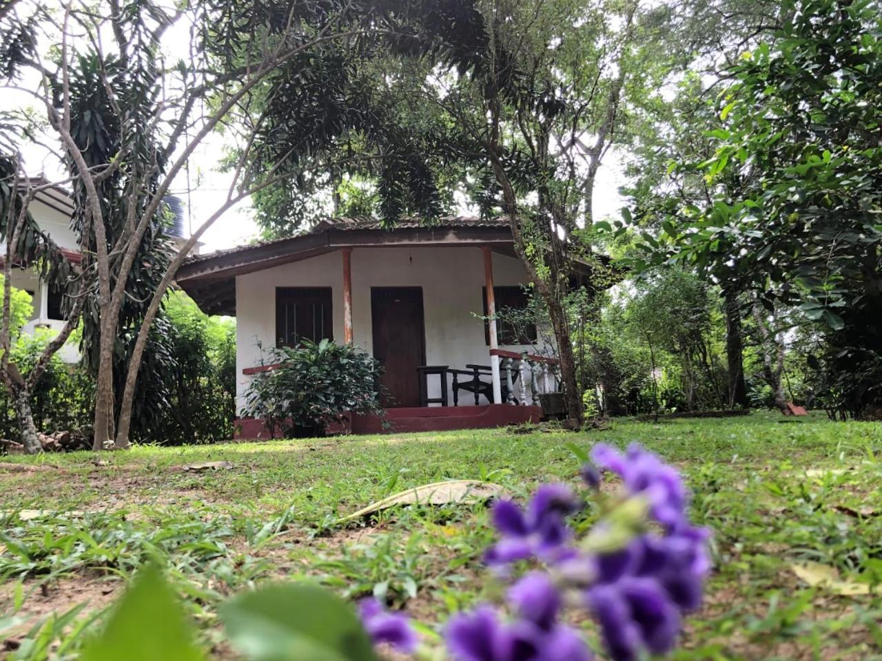 Calm Garden Cabanas تانجالي المظهر الخارجي الصورة