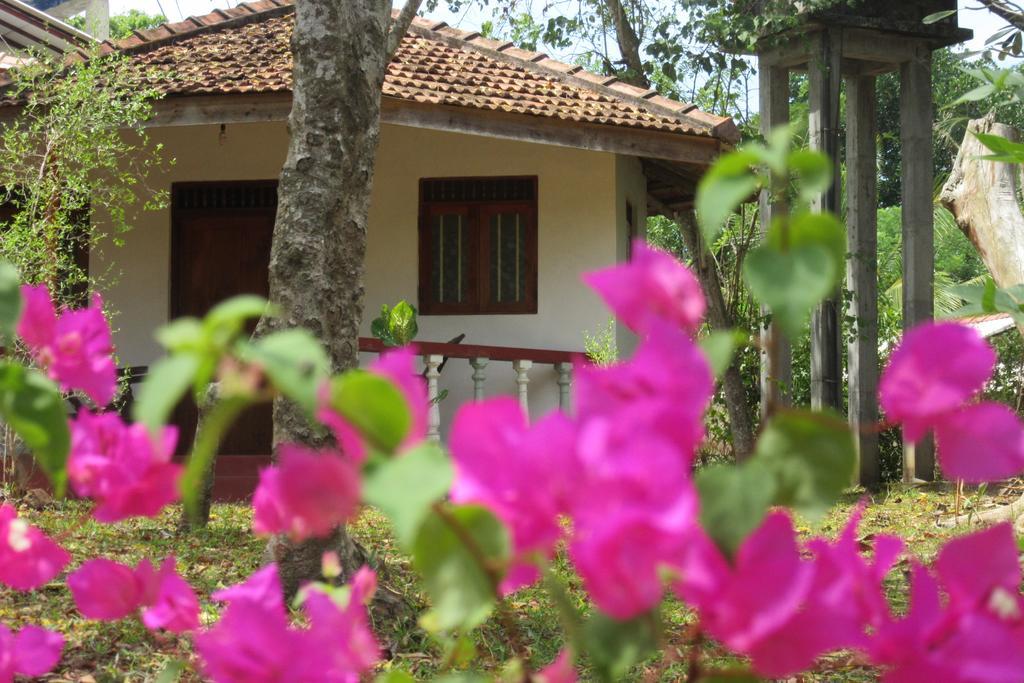 Calm Garden Cabanas تانجالي المظهر الخارجي الصورة