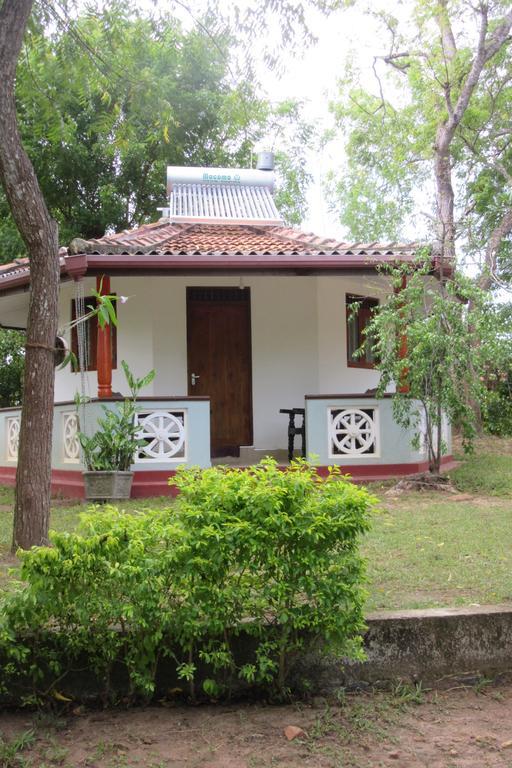 Calm Garden Cabanas تانجالي المظهر الخارجي الصورة