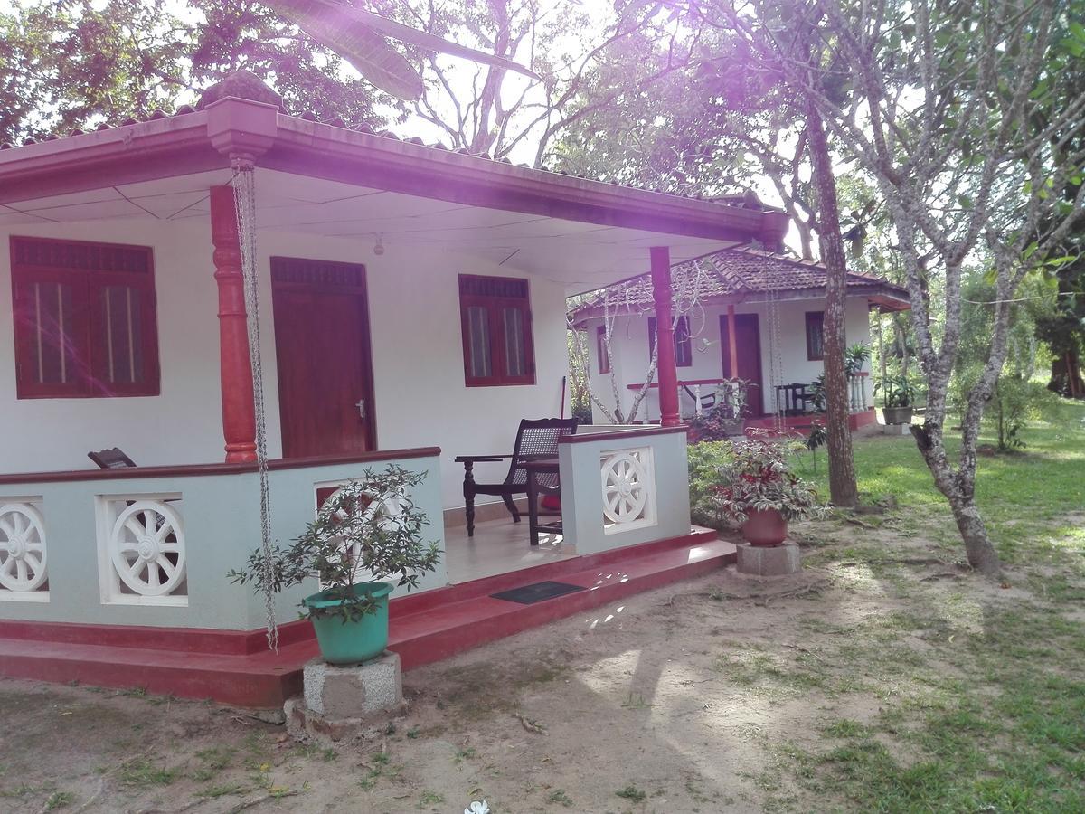 Calm Garden Cabanas تانجالي المظهر الخارجي الصورة