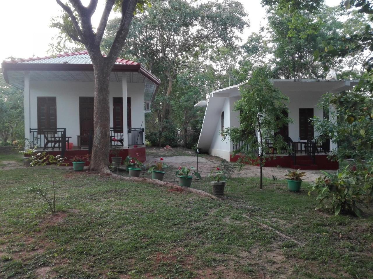 Calm Garden Cabanas تانجالي المظهر الخارجي الصورة