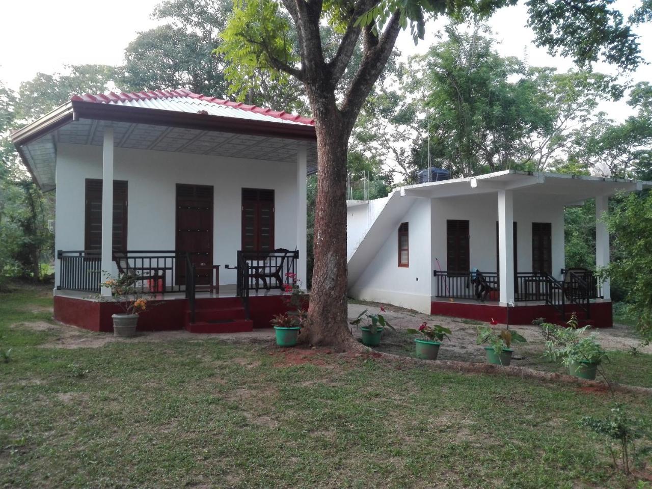 Calm Garden Cabanas تانجالي المظهر الخارجي الصورة