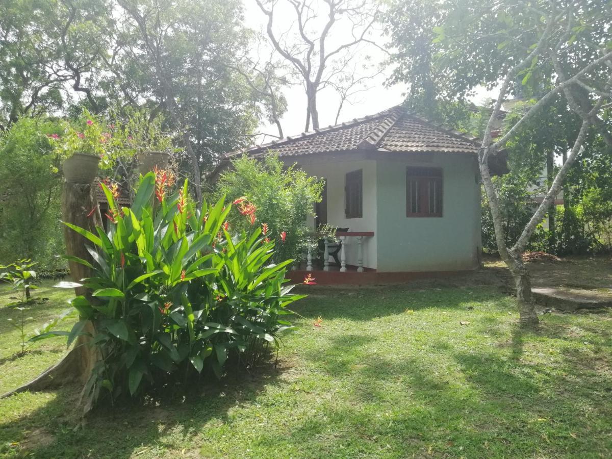 Calm Garden Cabanas تانجالي المظهر الخارجي الصورة